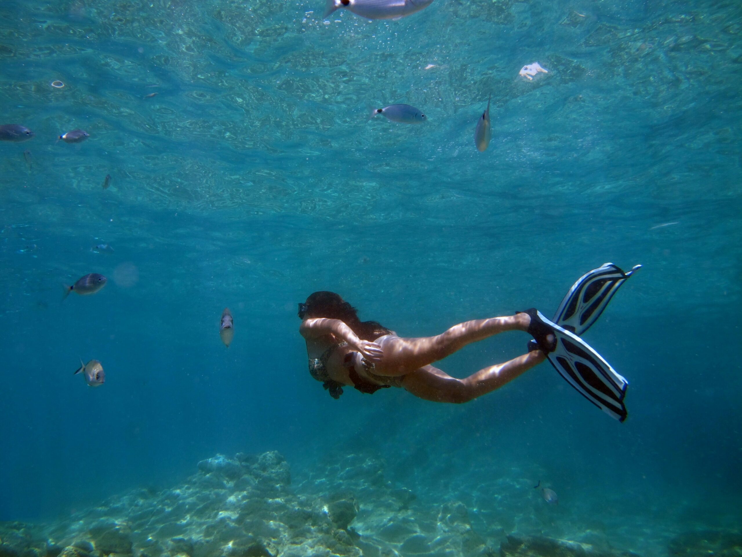 hanauma bay snorkel